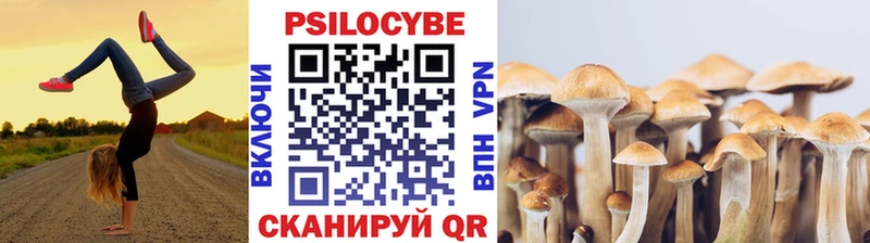 Галлюциногенные грибы Psilocybine cubensis  Новоузенск 