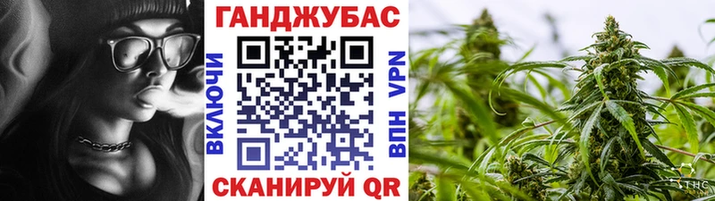 Конопля Amnesia наркошоп kraken tor Новоузенск